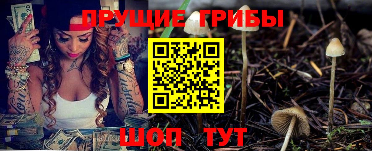 Белая Калитва  Псилоцибиновые грибы GOLDEN TEACHER  Вход с VPN  Галлюциногенные грибы Psilocybine cubensis 