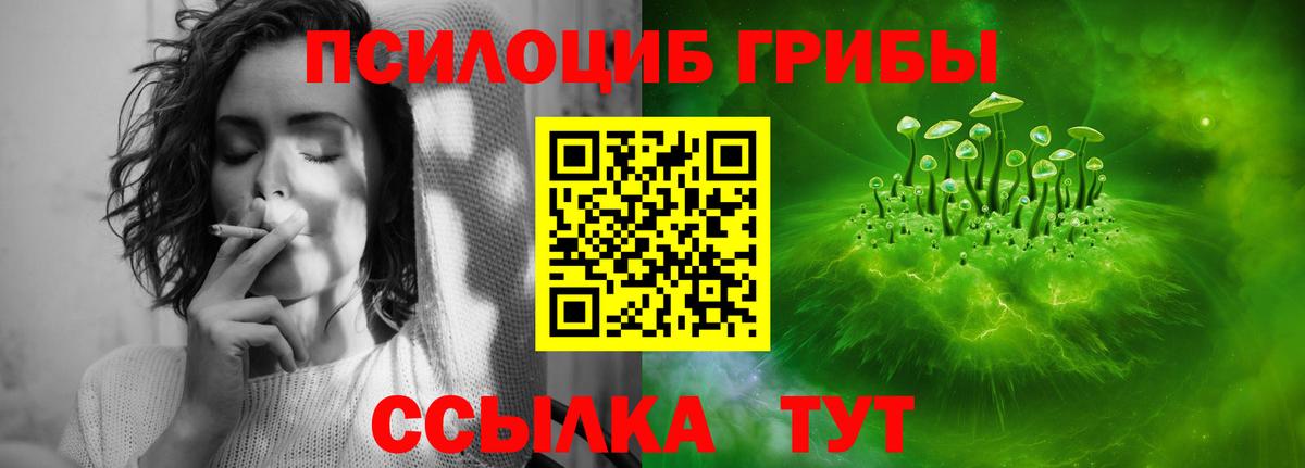 Псилоцибиновые грибы GOLDEN TEACHER Белая Калитва